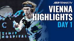 Tennis tv will be joined by denis shapovalov from indian wells tomorrow for an ama! Topsensation In Der Stadthalle Rodionov Schaltet Shapovalov Aus Tennis Erste Bank Open Derstandard At Sport
