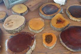 These Are Samples Of Lignum Vitae Wood A Very Dense And Hard Resinous Wood Widely Used For Tool Handles Because It Is Martha Stewart Blog Lignum Botanical