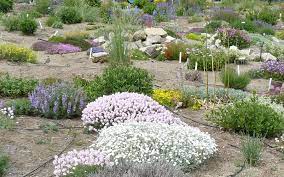 At southern design nursery, we are deliberate to hire team members who share our passion for landscaping and our company values…what we call our company iq's… integrity, quality, and service. Draggin Wing Farm Water Thrifty Plants For Idaho And The Intermountain West