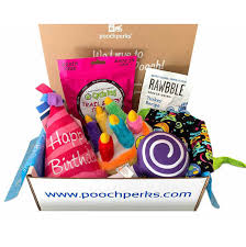 Mutts & mousers gets that your pet is like your best friend. 12 Cute Doggy Gift Baskets And Birthday Boxes For Special Pups Hey Djangles