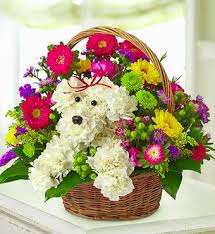 De ziua ta iti urez 12 luni de sanatate, 52 de saptamani de fericire, 365 de zile fara stress, 8760 de ore de dragoste, 524600 de minute de liniste si 31536000 de secunde de placere. La Multi Ani Amy46 Farmerama Ro