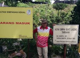 0.59 hutan simpanan kekal mengikut fungsian kegunaan hutan perlindungan. Kenyataan Dr Freezailah Bercanggah Realiti Hutan Di Malaysia Independent