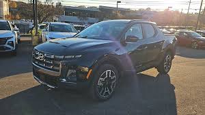 Image result for Phantom Black 2025 Santa Cruz