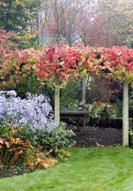 Epingle Sur Jardin Michel
