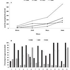 Image result for Globimetula kivuensis