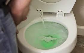 把洗碗精和熱水倒進堵塞的馬桶中 20分鐘後 奇蹟出現了