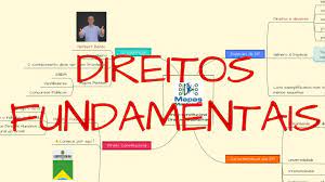 1 para a pergunta análise o artigo 5° da constituição federal, destacando: Direitos Fundamentais Direito Constitucional Concursos Publicos Youtube
