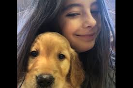 Shipped worldwide with 10 year health guarantee. Blukin Golden S Has Golden Retriever Puppies For Sale In Plainville Ct On Akc Puppyfinder Golden Retriever Retriever Puppy Golden Retriever Breeder