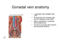 Obgyn Grand Rounds What Can The Interventionalist Do