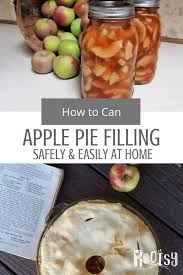 Not peeling the apples in your pie filling is right up there next to sitting grandpa's easy chair: Canning Apple Pie Filling Rootsy Network