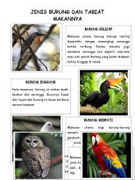 Burung eksotis ini dalam bahasa inggris disebut juga dengan hornbill dikarenakan paruhnya memiliki cula atau tanduk layaknya tanduk. Burung Dan Tabiat Makan