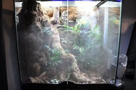 Crested Gecko Natural Vivarium Build Journal Pic Heavy Page 2 Crested Gecko Vivarium Gecko