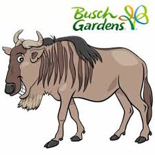101.5 lite fm is a one of the most famous online radio station on usa. Stream Wlyf 101 5 Lite Fm Miami Fort Lauderdale Fla Busch Gardens Wildebeest Am Bits Summer 2002 By Rob Sidney Listen Online For Free On Soundcloud