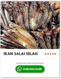 Cara membuat ikan salai dalam jumlah satu ton perhari wa 081373056600 ismail﻿, resep ikan salai dan harga ikan salai di. Rajosalai Com Jual Ikan Salai Dan Asin Khas Riau