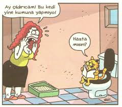 Nezarettin Durmaz Adli Kullanicinin Mizah Panosundaki Pin Karikatur Komik Ve Komik Seyler