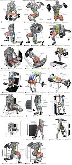 12 Week Body Transformation Challenge Free Pdf Get Mind Blowing And Body Altering Results With This Free Ebook Abando With Images Gym Workouts Leg Workout Workout Routine