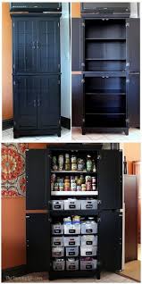 Black Pantry Cabinet An Elegant And Easy Kitchen Storage Solution Diy Pantry Cabinet Diy Kitchen Storage Kitchen Storage Solutions