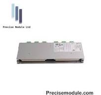 Bently Nevada 125800-01 Module d'E/S Keyphasor (terminaisons internes)  Réponse rapide