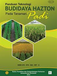 Berdasarkan literatur grist (1960), padi dalam sistematika tumbuhan diklasifikasikan kedalam. Bbpadi Panduan Teknologi Budidaya Hazton Pada Tanaman Padi
