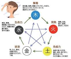 第七章 自然療法 冷えとり温ちゃん