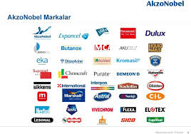 Akzo nobel server boya şirketinde health and safety consultant. Akzonobel Toz Boya 2013 Izmir Pdf Free Download