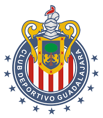 Check this player last stats: Liste Von Spielern Des Club Deportivo Guadalajara Wikipedia
