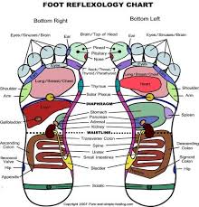 Printable Foot Reflexology Chart Homeopathy Foot