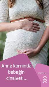 bebegin cinsiyeti en erken ve kesin ne zaman belli olur cinsiyeti kim belirler yenidogan bakimi cinsiyet hamilelik