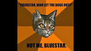 Funny Warrior Cats Google Search Warrior Cat Memes Warrior Cats Funny Cat Memes
