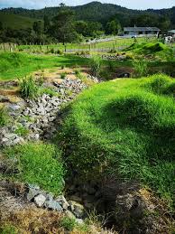 The Chan Family New Zealand