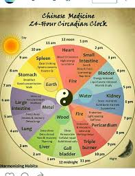 Chinese Medicine Chinese Body Clock Body Clock Acupuncture