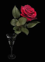 Love Roses Are Red Beautiful Rose Flowers Beautiful Roses Beautiful Flowers