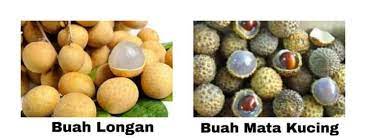 Contextual translation of buah mata kucing in english into malay. Buah Mata Kucing Dan Buah Longan Nufiya Seberang Perai Facebook