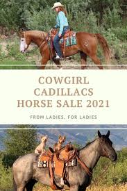 Pin On All The Pretty Horses
