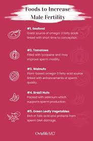 Foods To Increase Male Fertility: Choosing Foods To Increase Sperm Count