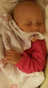 The Schlichting Family and Baby Ava