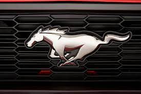 Related ford mustang logo wallpaper wallpapers. Horse Ford Ford Mustang Logo Hd Wallpaper Wallpaperbetter