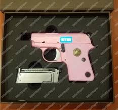 Image result for Pink Frost 1988 Colt