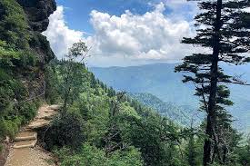 This should go through official channels rather than public shaming. Want To Explore The Smokies There S An App For That Smoky Mountain Ziplines