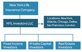 Maybe you would like to learn more about one of these? Organizational Structure