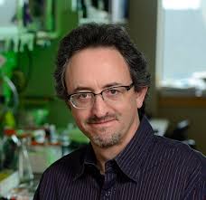 Joel Pomerantz: Immunity's Molecular Dance