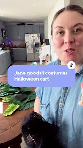 DIY Halloween Cart for Baby's Jane Goodall Costume