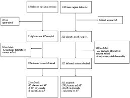 Flow Chart Of Women Participating In The Study Amniotic