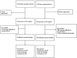 flow chart of women participating in the study amniotic