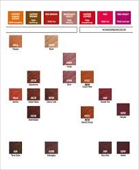 hair color chart template 9 free word pdf documents