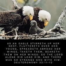 Pin On Kjv Christian Inspiration