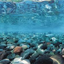 Check spelling or type a new query. Single Side Aquarium Fish Tank Decorative Wall Background Paper Buy Aquarium Fish Tank Background Paper Fish Tank Background Fish Tank Wall Paper Product On Alibaba Com