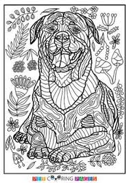 Free Printable Rottweiler Coloring Page Available For Download Simple And Detailed Versions For Adults Dog Coloring Page Coloring Pages Animal Coloring Books
