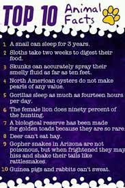 Find your favourite animal and bird below to learn more fun facts about them. Pin By Claudia On Bento Brainstorm Facts For Kids Animal Facts Fun Facts About Animals