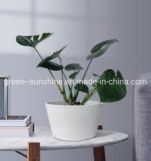 Buy succulents online in bulk. China Oem Factory Directly Sale High Quality Cheap Price Large Waterproof Pp 12 Short Basin Plastic Flower Pot Plant Pot Garden Planter Eco Friendly Pots A Photos Pictures Made In China Com